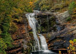 Legislature tennessee is one of only 14 states that has not authorized medical cannabis, but. 10 Best Small Towns In Tennessee Purewow