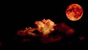 A surfer in sydney, australia, as a super blood moon rose on wednesday.credit. January 2018 Full Moon Lunar Eclipse In Leo Astrology Hub