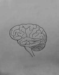 Draw It Neat How To Draw Human Brain Human Drawing Biology Drawing Brain Drawing