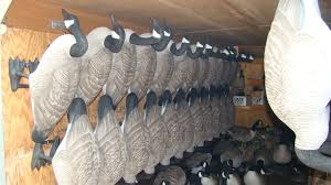 Pin Goose Decoy Trailer Setup Nodakoutdoors Com Forums Viewtopic Phpy Nm N L On Pinterest Goose Hunting Waterfowl Hunting Bird Hunting
