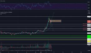 Apalagi bisa melihat pump dan dump di cryptopia. Tpw434dmvu9zsm