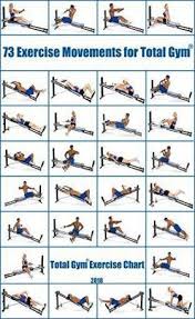Best Home Gym Exercises Chart 30 Day 57 Ideas Exercises