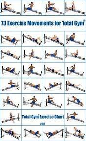 best home gym exercises chart 30 day 57 ideas exercises