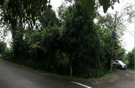 Jual tanah dan kavling terlengkap di cibubur. Tanah Kavling Cibubur Jualsewatanah Com