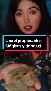 Protección Con Hojas De Laurel