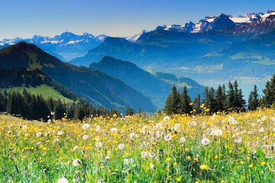 mountains
