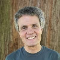 80+ "Stenberg" profiles