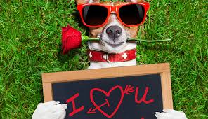 Click here to chat online to someone right now. How To Tell A Special Someone You Re In Love With Them