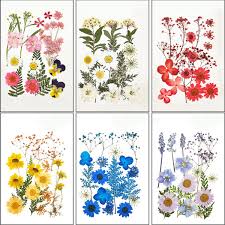 Maybe you would like to learn more about one of these? Diy Dried Flowers Resin Mold Fillings Uv Expoxy Flower For Nail Art Pressed Flowers For Home Decor Handicraft Wish