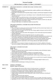 strategic category manager resume