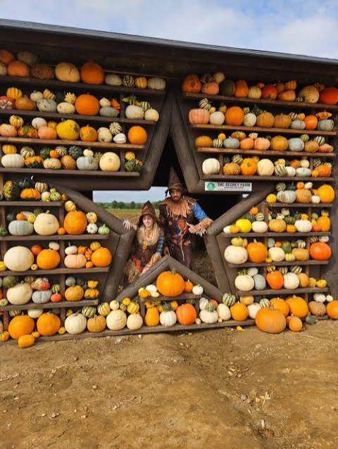 The Secret Farm