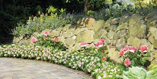 Pin On Garden Topiary