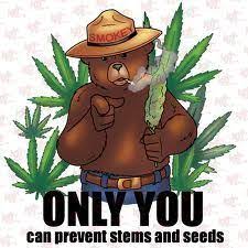 4.3 oz, 100% combed cotton jersey heather gray 90% cotton/10. 20 All Things Smokey Ideas Smokey Smokey The Bears Forest Fire