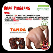 • anda merasa sakit di bahagian belakang atau tepi sebelah bawah. Tanda Sakit Buah Pinggang Tahap 4