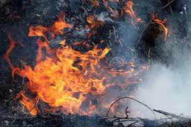 Offene feuer(stellen) sind oftmals ein anlass für streitigkeiten, weil für den einen das feuer nützlich ist, andere personen jedoch stört. Offenes Feuer Im Garten Was Ist Erlaubt