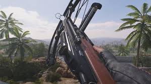 Crossbow users will love the aimbot features in our black ops 2 hack and being able to unlock the ballista ( iron sight ) which would usually take 40 levels to obtain. Whoops Call Of Duty Warzone Didn T Mean To Put That Crossbow In The Game Pc Gamer
