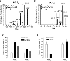 Prostaglandins given locally can also help with stillbirths and hemorrhages during pregnancy. Postsynaptically Synthesized Prostaglandin E2 Pge2 Modulates Hippocampal Synaptic Transmission Via A Presynaptic Pge2 Ep2 Receptor Journal Of Neuroscience