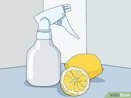 We did not find results for: How To Prevent Flea Bites With Pictures Wikihow