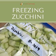 What to do with surplus zucchini? Freezing Zuchinni One Of The Best Ways To Save Your Surplus