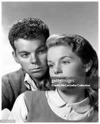 499 Diane Page Stock Photos, High-Res Pictures, and Images