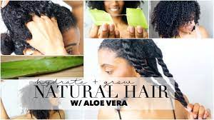 Massage with your fingers so that the gel penetrates deeper into the scalp. How To Grow Hydrate Natural Hair Aloe Vera Oil Treatment Youtube