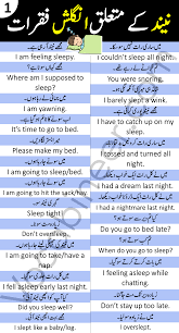 Daily Use English Sentences With Urdu And Hindi Translation English Sentences Learn English Vocabulary English Vocabulary Words Learning