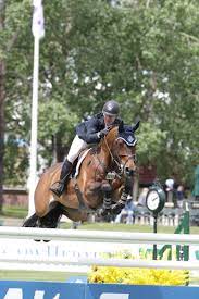 Explore tweets of ιlena @ilena_ingwersen on twitter. International News Horseweb De