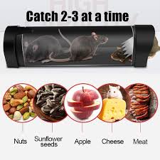 Looking for a dependable and highly skilled bowling green, ky lawn care company? Rat Rodent Control Tool Practical Mouse Trap Killer Cage For Home Garden Pest Live Trap Home Garden Buy From 6 On Joom E Commerce Platform