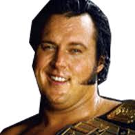 The Honky Tonk Man: Profile, Career Stats, Face/Heel Turns, Titles Won &  Gimmicks