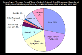 Traumatic Brain Injury The Why Files