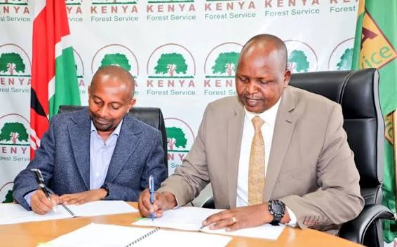 Kenya Forest Service and Furaha & Baraka Farms Sign Framework of Collaboration to Restore 3,000 Hectares of Mangroves The Kenya Forest Service (KFS) has officially entered into a Framework of Collaboration (FOC)