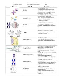 Rather, it is the preparation. Vocabulary Biology Unit 5 Dna Mitosis Meiosis Date Picture Word