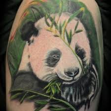Eagle pictures black art pictures urso bear bear claw tattoo tattoo arm designs sketch style tattoos gangsta tattoos bear drawing lion art. 32 Panda Tattoo Ideas