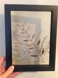 We would like to show you a description here but the site won't allow us. Diy Framed Pressed Flowers Tried And True By Trista