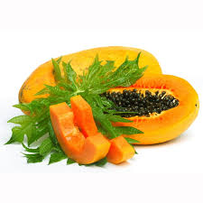 Image result for Carica papaya