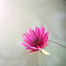 Angus Jerome MacDonald Obituary (1943