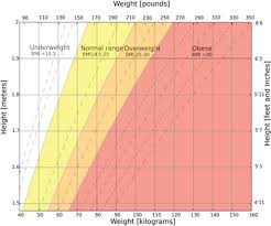 what is morbid obesity definition symptoms treatment