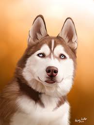 Check spelling or type a new query. Red Siberian Husky Husky Drawing Red Siberian Husky Red Husky