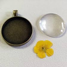 One of the sought after options is. Mandipidy Tutorial Pressed Flower Necklace Pressed Flowers Diy Necklace