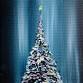 Christmas at The Boat House Cafe, Chichester event image
