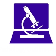 I do teaching and some research, but. Working At Pathologyoutlines Glassdoor