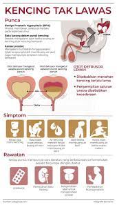 Jangkitan yang berlaku pada pundi kencing dikenali sebagai cystitis. Simpton Hashtag On Twitter