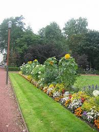 Simple And Easy Landscaping Ideas Freecycle Usa Easy Landscaping Low Maintenance Landscaping Front Yard Landscape Ideas Front Yard Curb Appeal