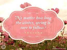 Pin On Great Quotes