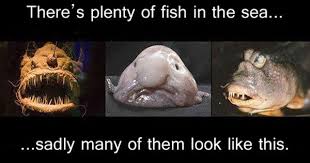 There S Plenty Of Fish In The Sea Hilarious Funny Pictures Funny