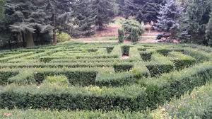 Forstbotanischer Garten Tharandt Forstpark Ausflugsziele Im Erzgebirge Osterzgebirge