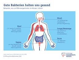 Welche Krankheitserreger Gibt Es Stiftung Gesundheitswissen
