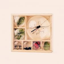 Hôtel à insectes, maison à insectes, boîte à insectes 48 cm x 31 cm x 10 cm en bois tectake. Boite Loupe A Insectes En Bois Petits Ecolos Mome Des Bois