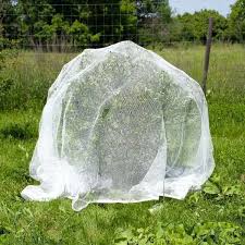 It is possible to eat the bounty from your fruit trees before the birds do. Fruit Tree Netting Stops Bird Damage To Cherry Tree Crops Fruit Trees Garden Netting Tree Canopy