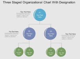 Three Staged Organizational Chart With Designation Flat